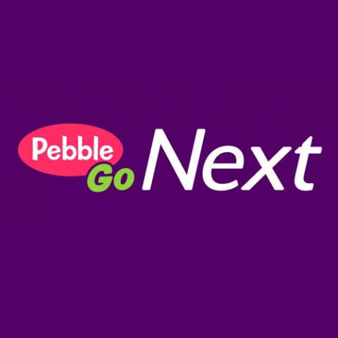 pebblego next